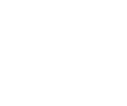 Thillai Shri MR Chits Private Limited